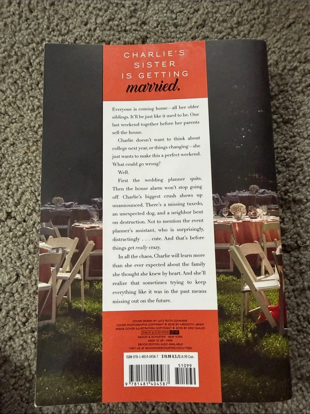 Save the Date Novel